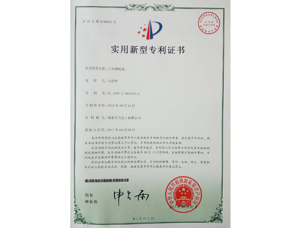 Eight-chamber nitrator patent certificate