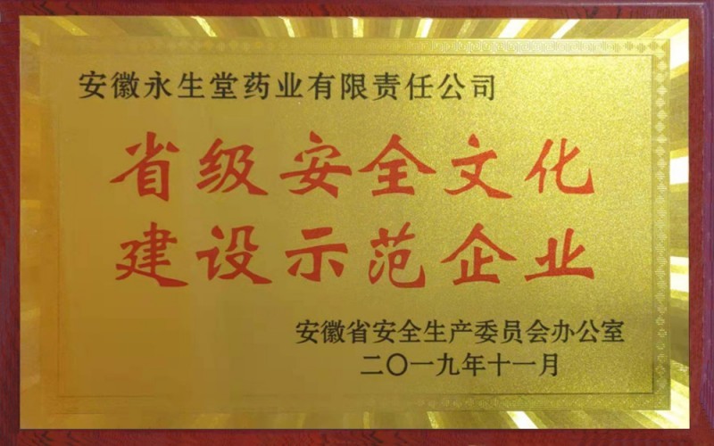 省級安全文化建設(shè)示范企業(yè)