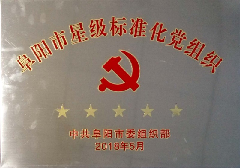 五星級標(biāo)準(zhǔn)化黨組織