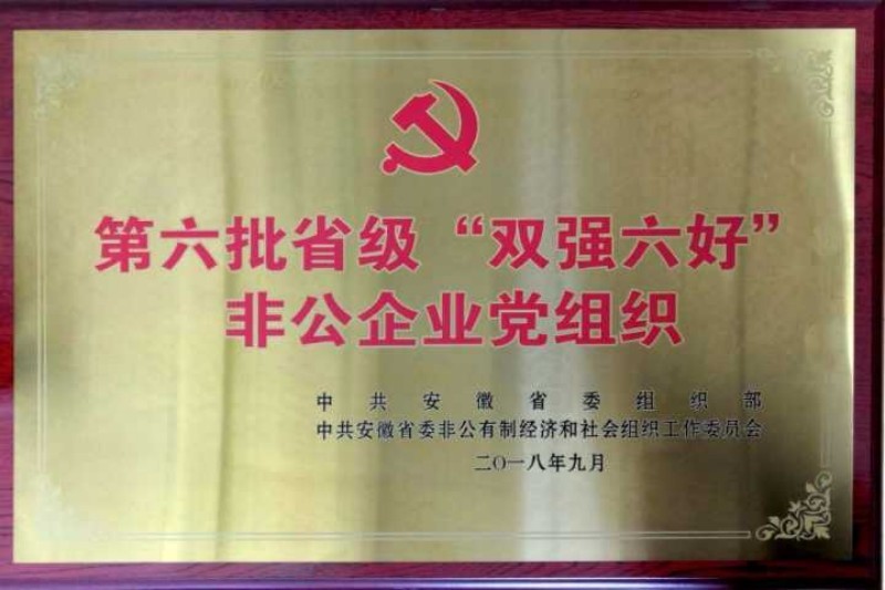 省雙強六好獎牌