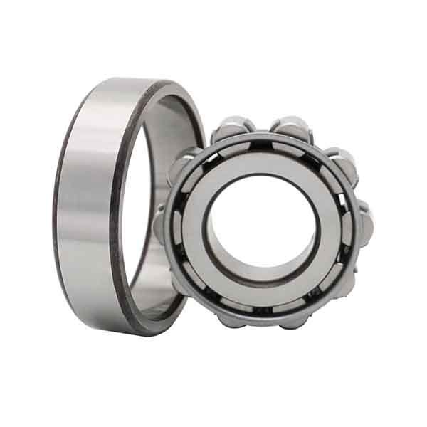 Cylindrical Roller Bearings NF Series