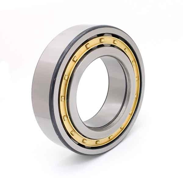Cylindrical Roller Bearings NUP Series