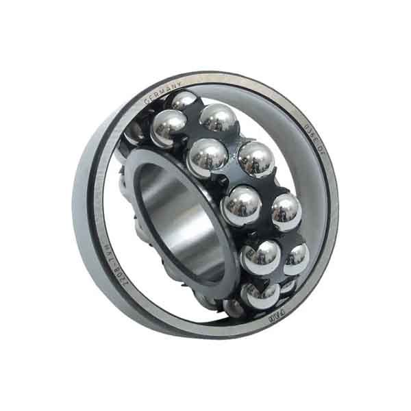 Self-aligning Ball Bearings 2200 Series