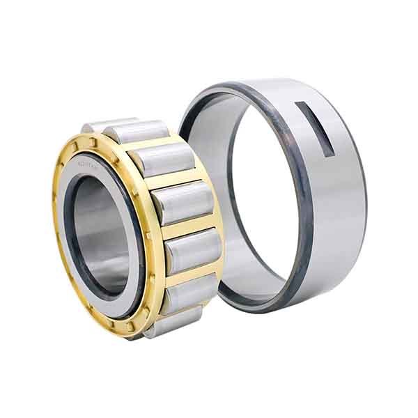 Cylindrical Roller Bearings N2xx & N3xx Series