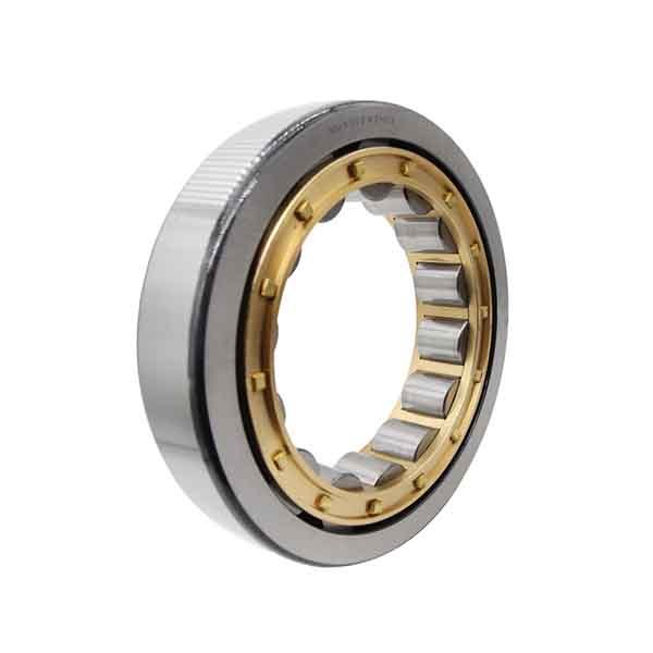 Cylindrical Roller Bearings NU10xx EM Series