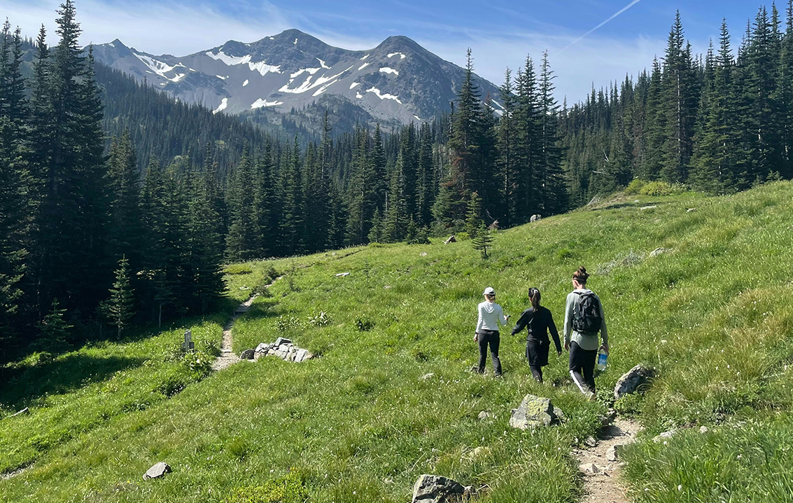 Field exploration
