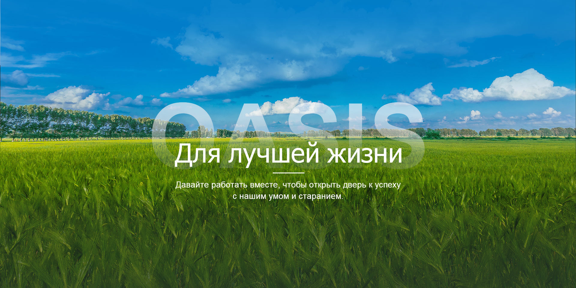 Oasis AgroScience Ltd