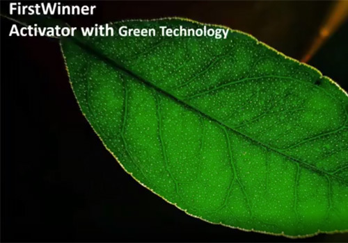FirstWinner