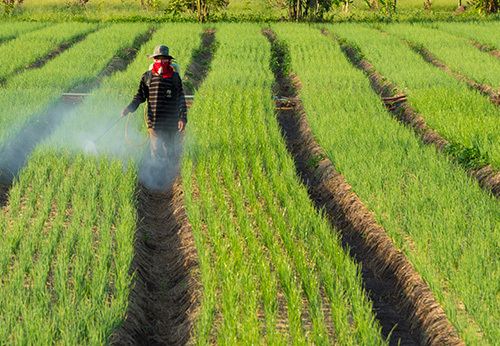Herbicides