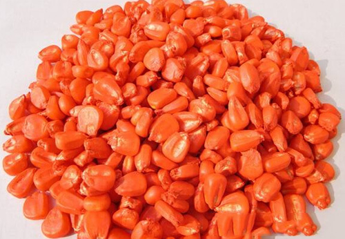 Seed Treatment