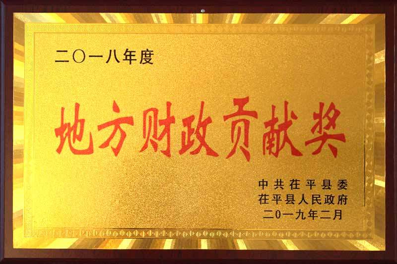 地方财政贡献奖