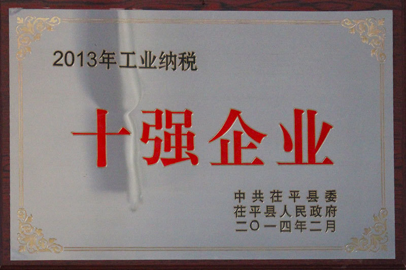 Top ten enterprises