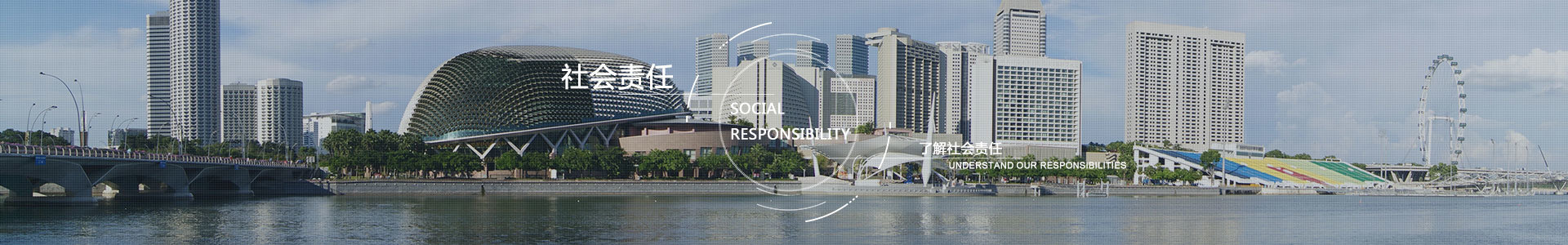 山东德建国际经济技术合作有限公司