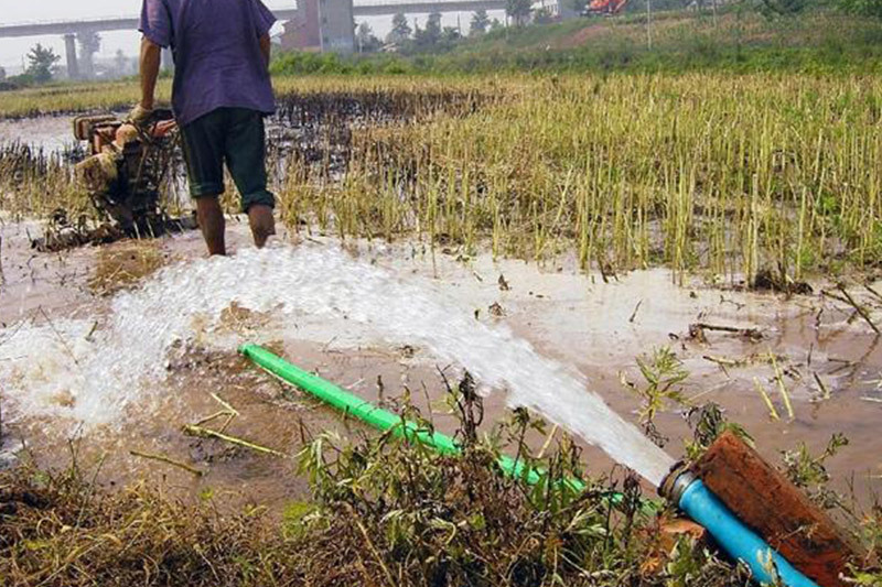 Intelligent water pump helps agricultural water-saving irrigation