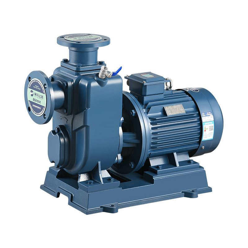 BW/ZW Direct Connect Split Self-priming Pump