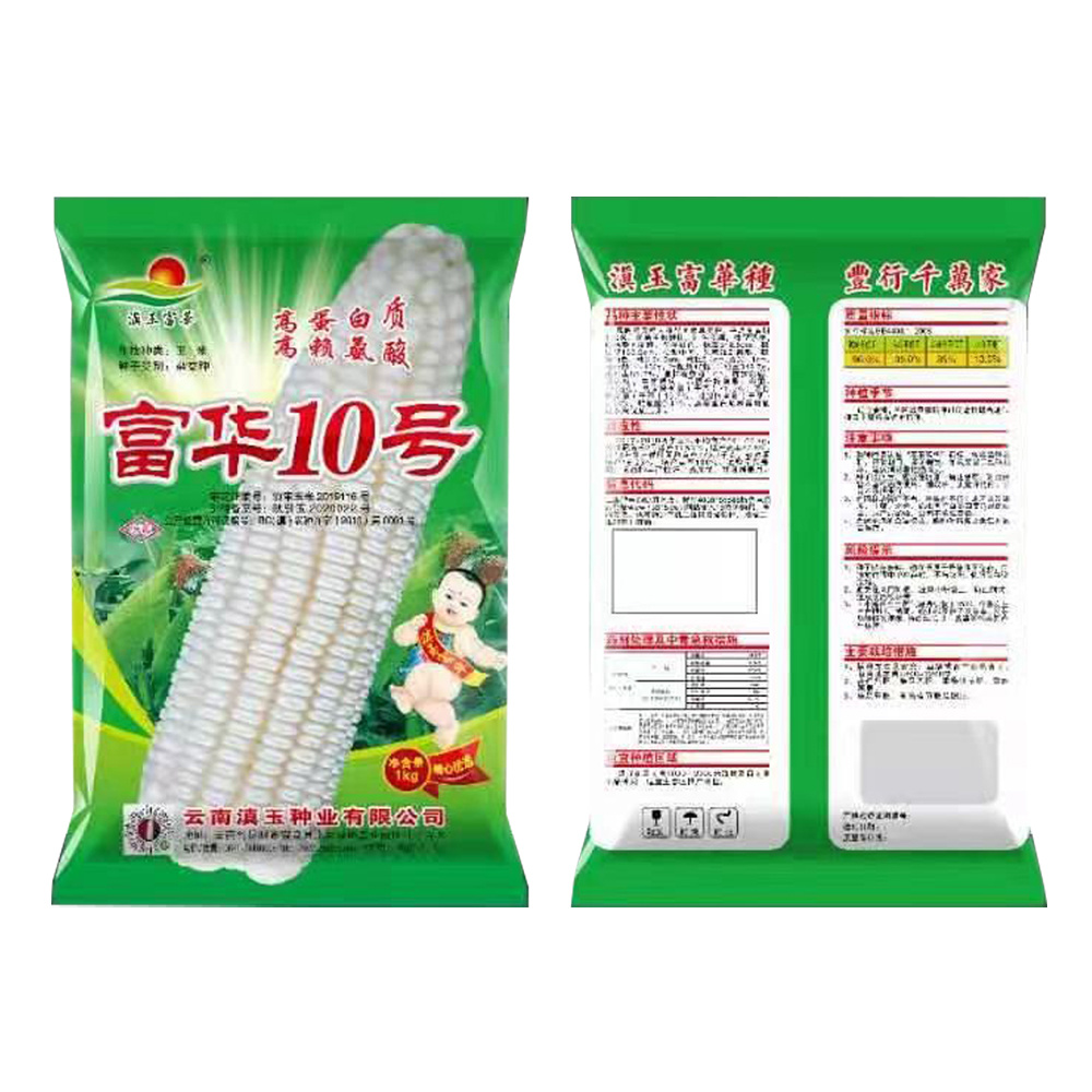 富華10號(hào)