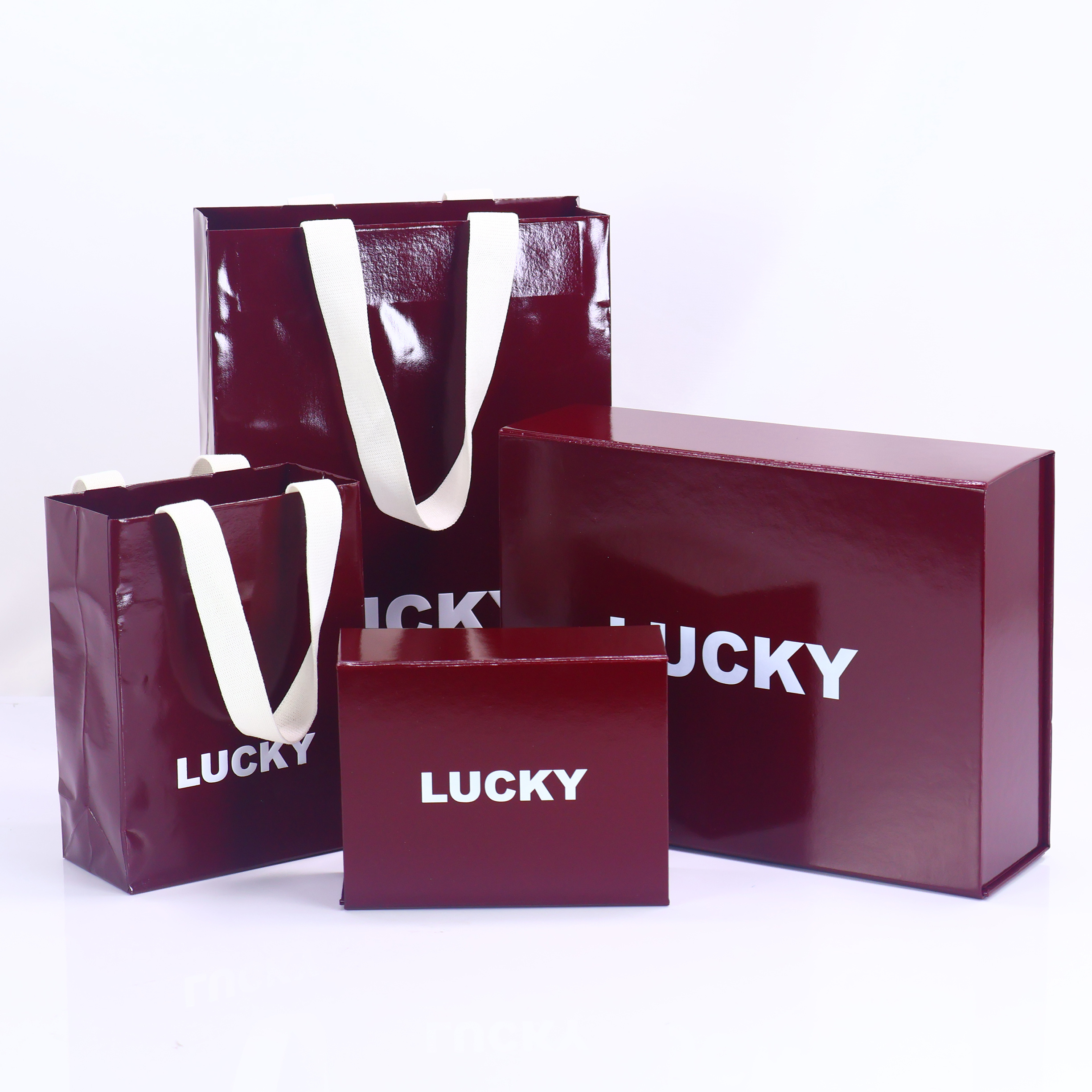 Luxury paper box and bag set
