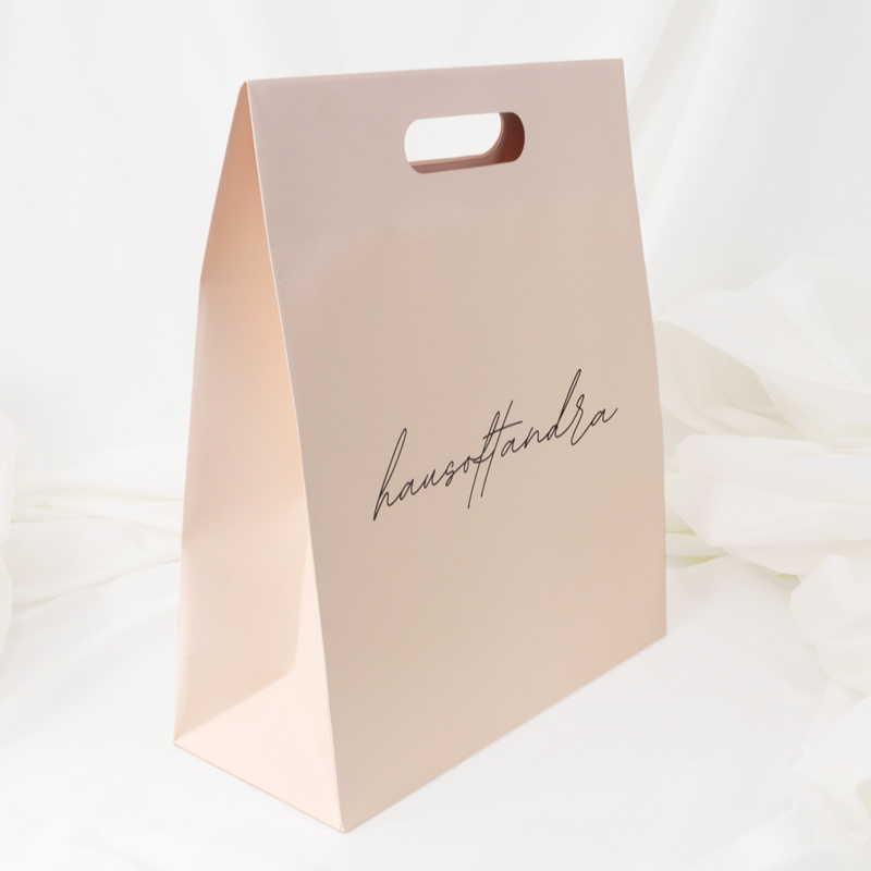 customized Biodegradable paper bag china