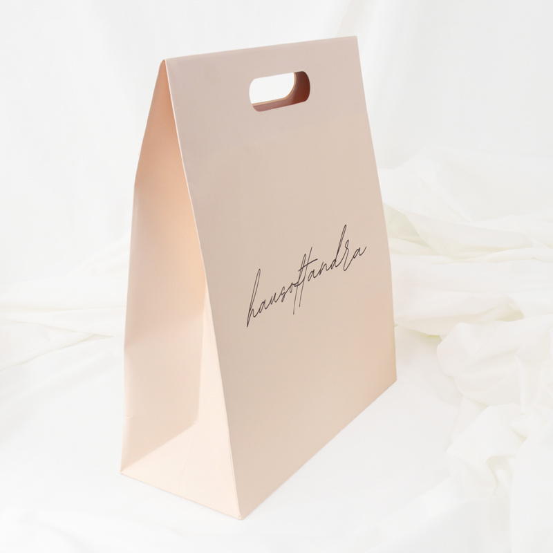 customized Biodegradable paper bag china