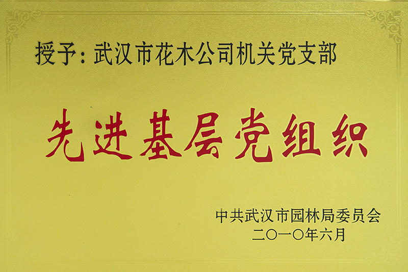 先進基層黨組織