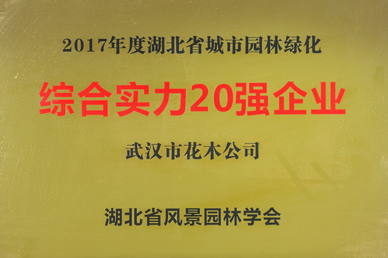 綜合實力20強企業(yè)