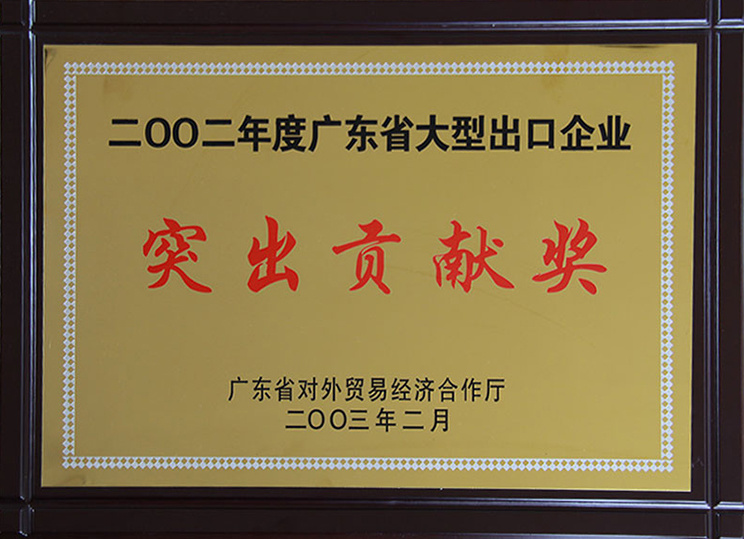 2002年度廣東省大型出口企業(yè)突出貢獻(xiàn)獎(jiǎng)