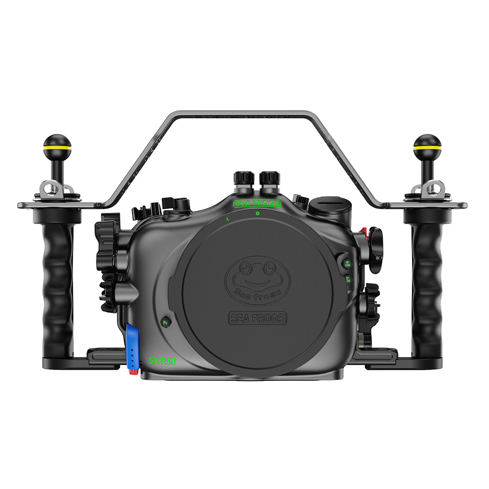 Exploring Marine Life with Seafrogs Aluminum Camera Housing: What You Need to Know