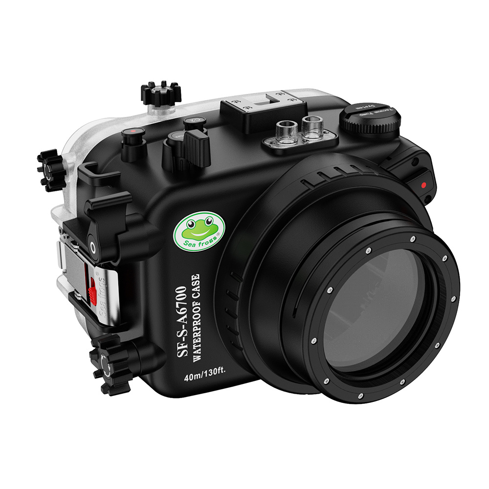 EOS 750D-Products-Seafrogs