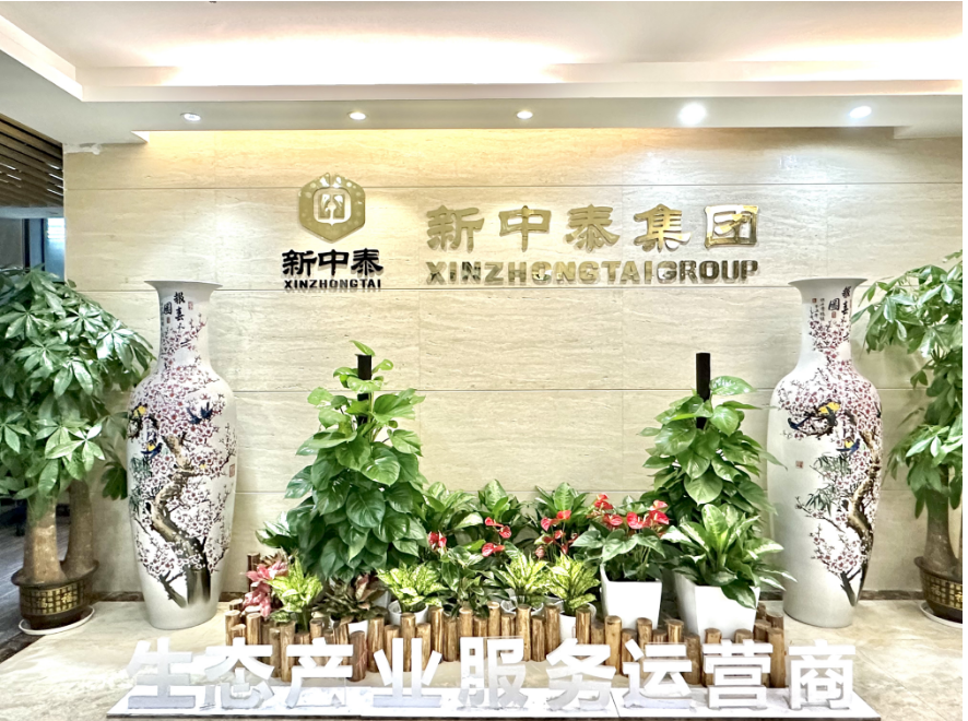公司介紹