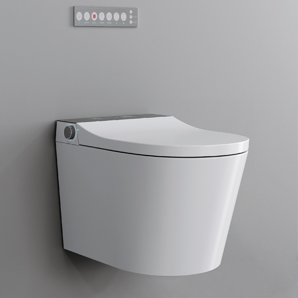 Wall Drainage toilet