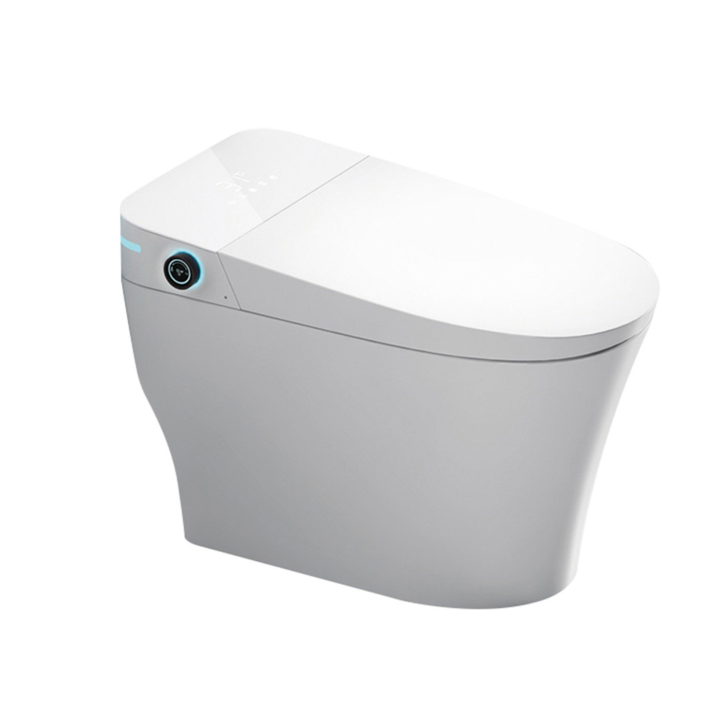 Smart Toilet