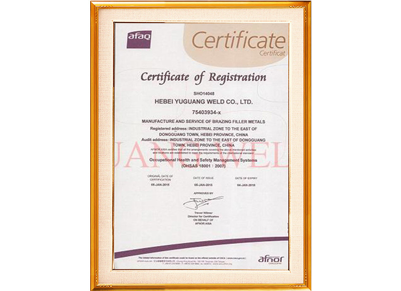 OHSAS18001: 2007 Certification