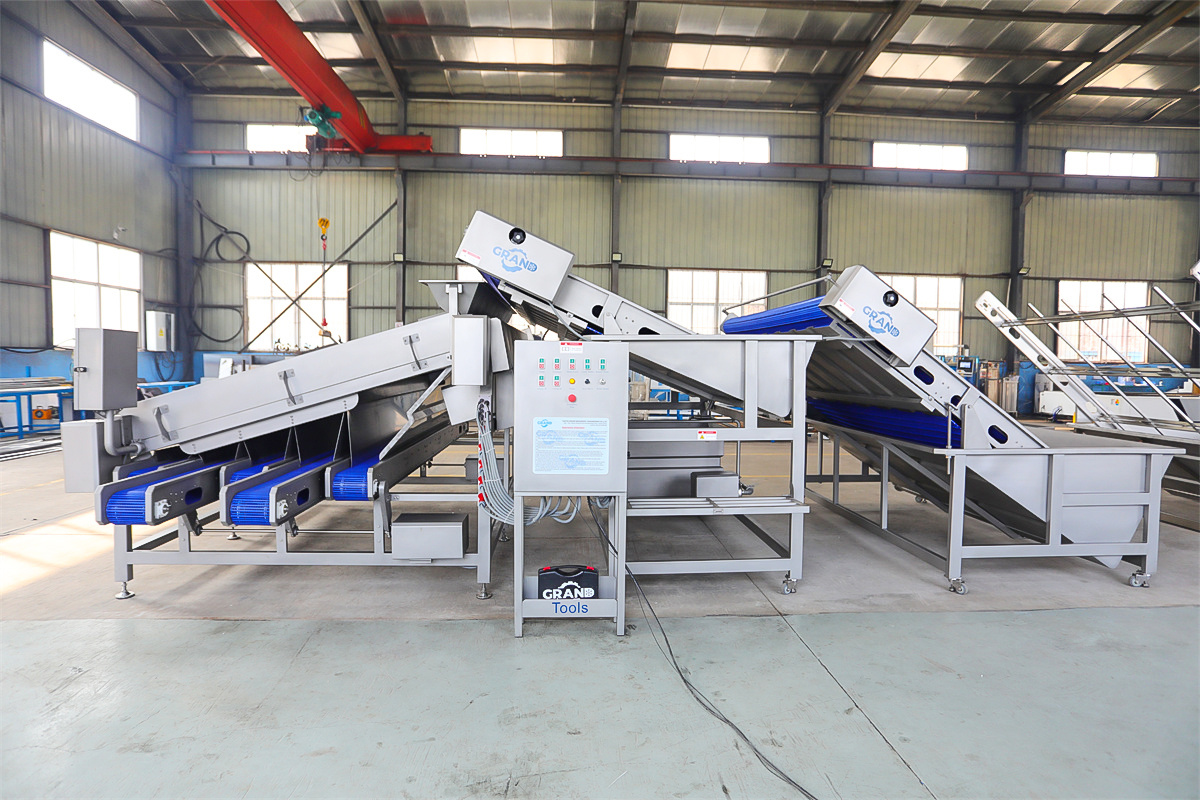 Máy phân loại - Thiết bị then chốt nâng cao hiệu quả xử lý hải sản