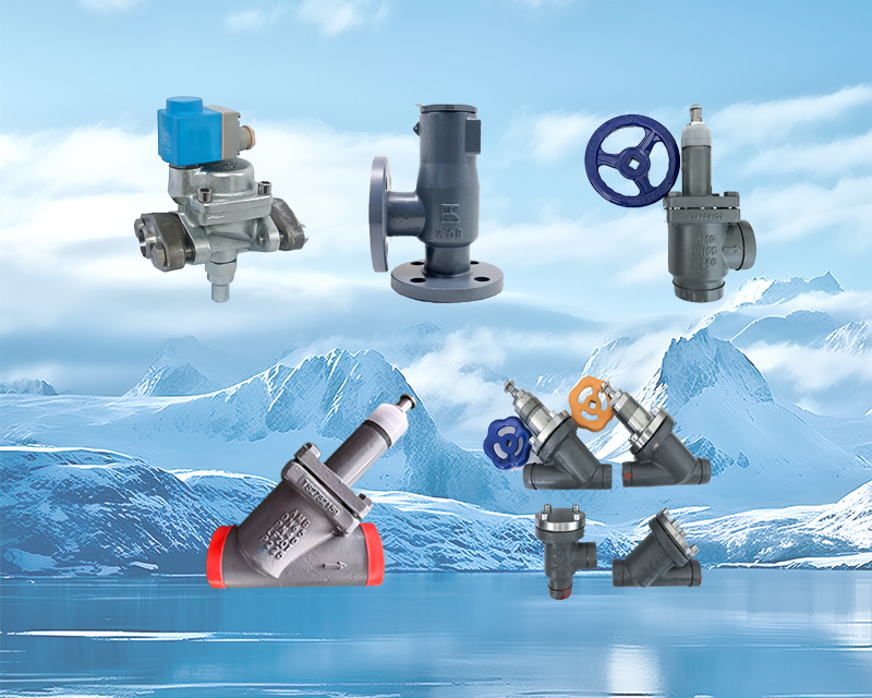 Ammonia Valves