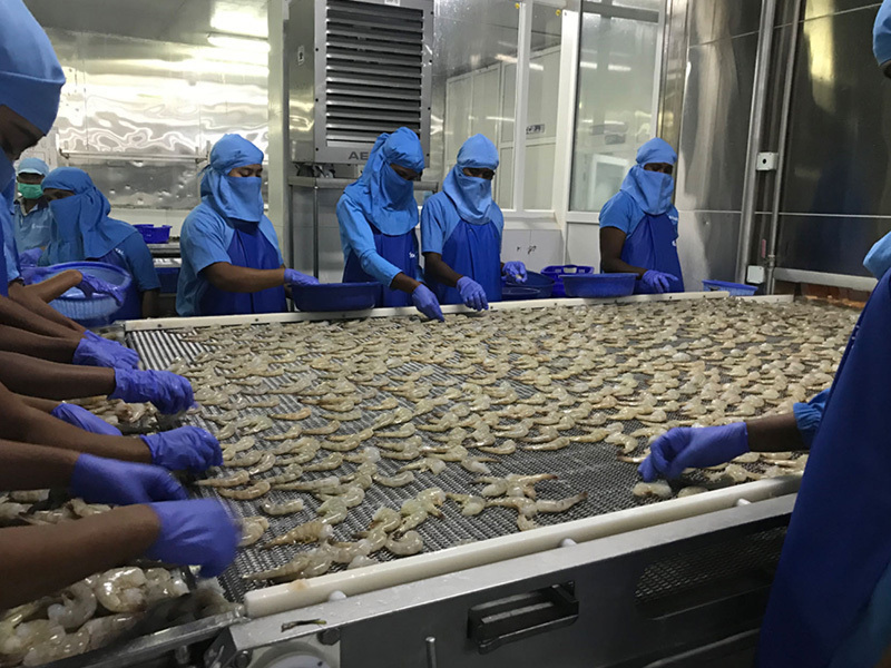 Sản phẩm tôm Sản phẩm tôm