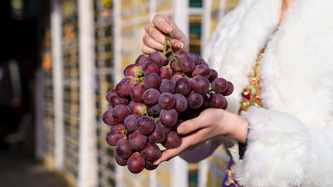 Peruvian Red Grape