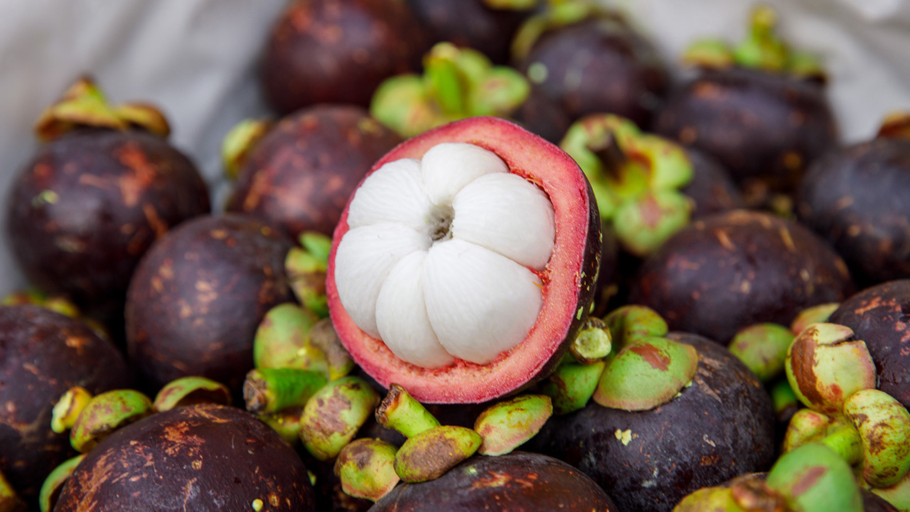 Mangosteen