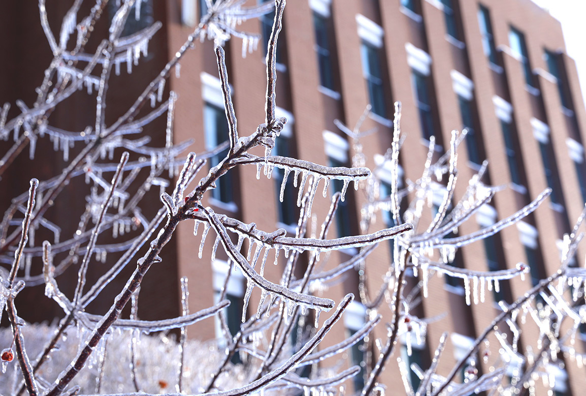 吉科初雪