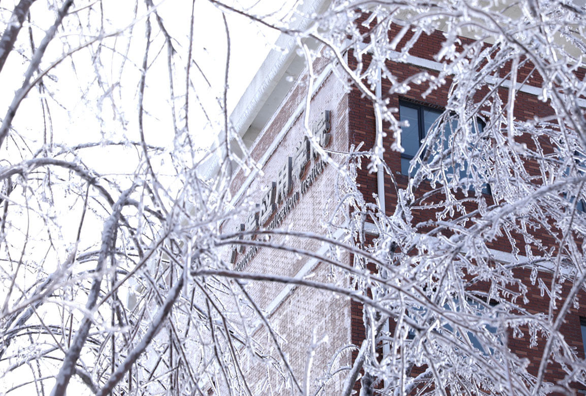 吉科初雪