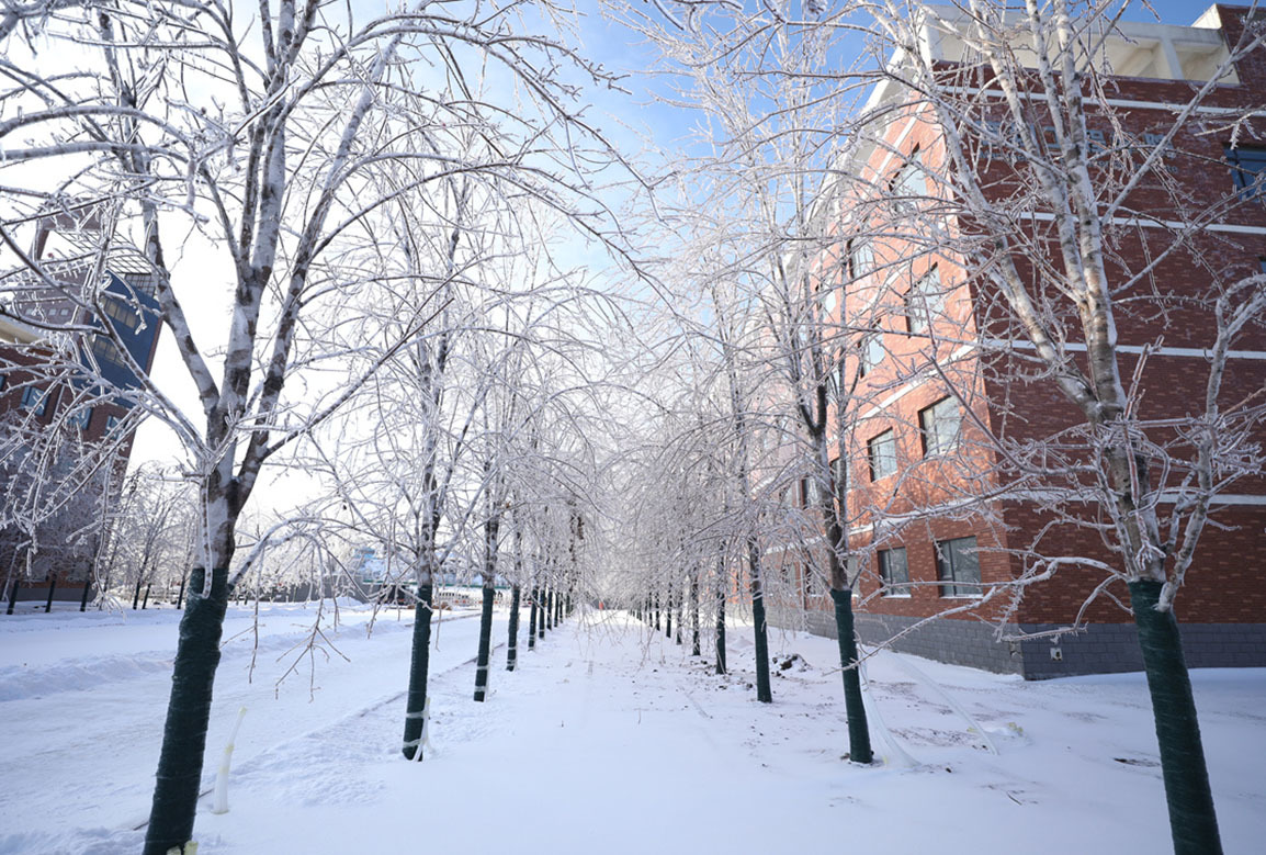 吉科初雪