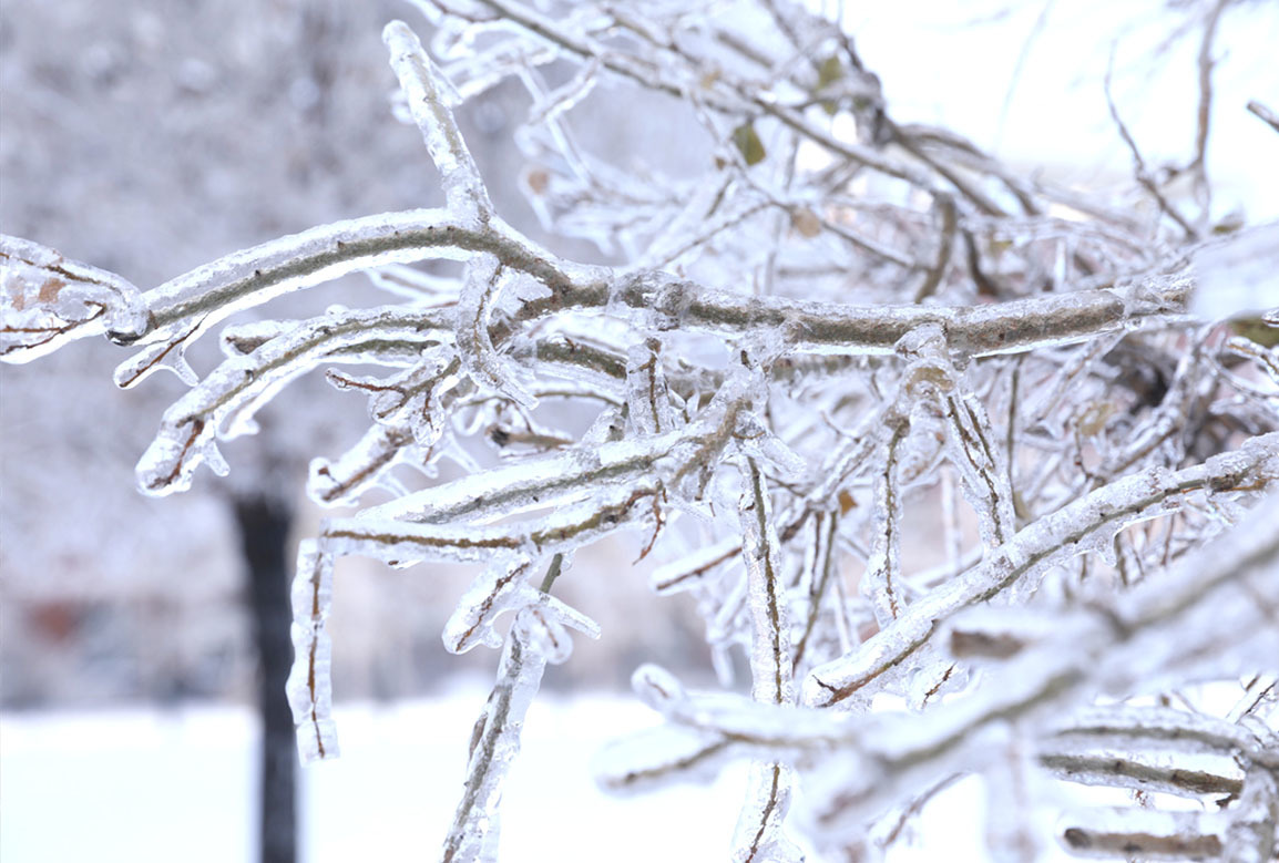 吉科初雪