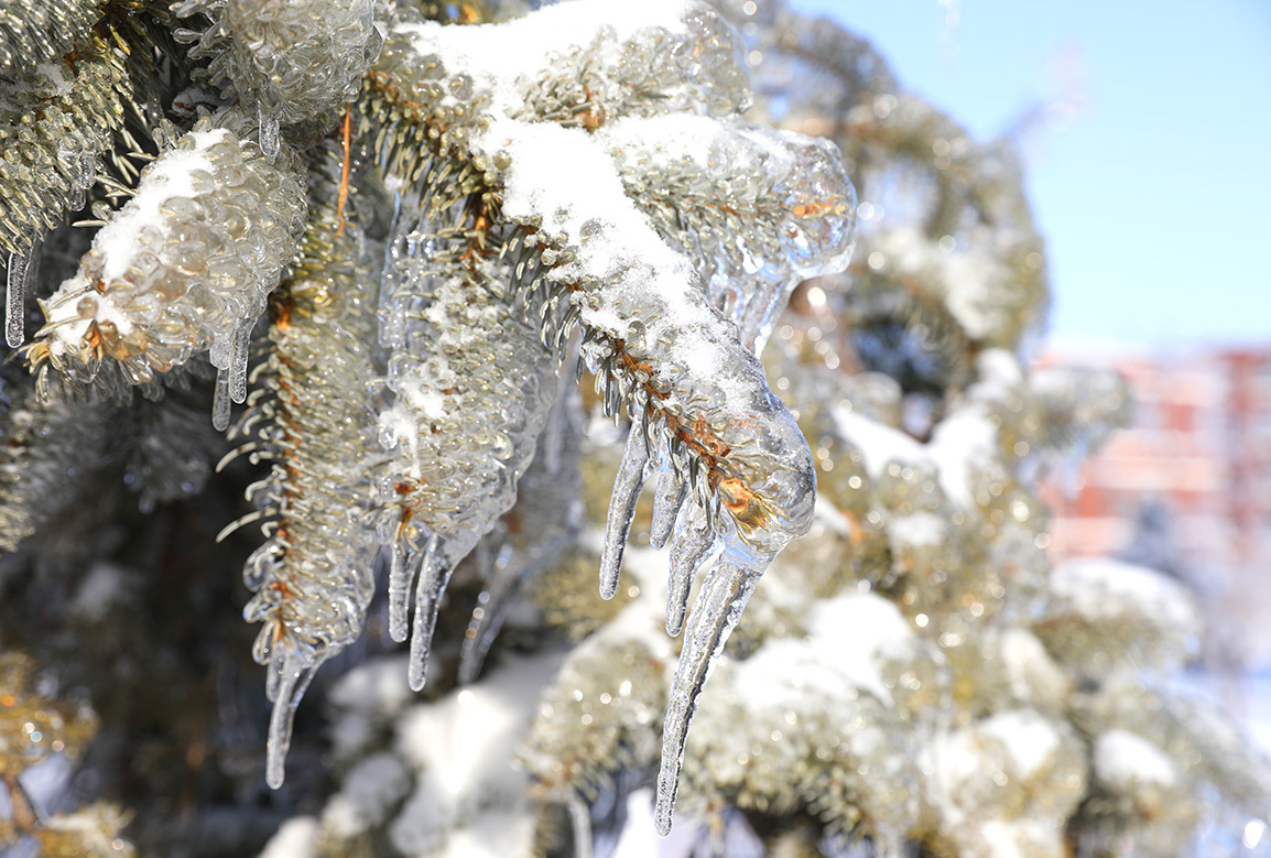 吉科初雪