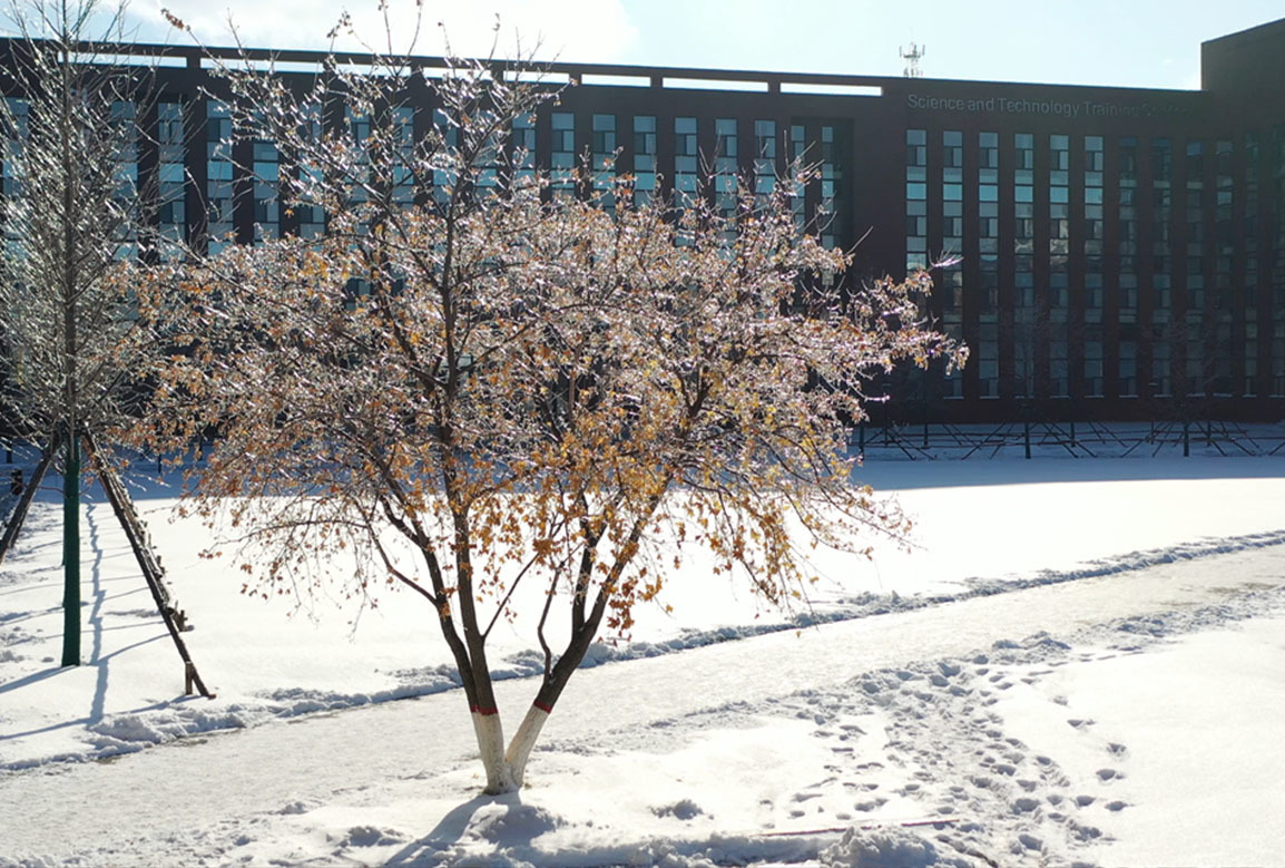 吉科初雪