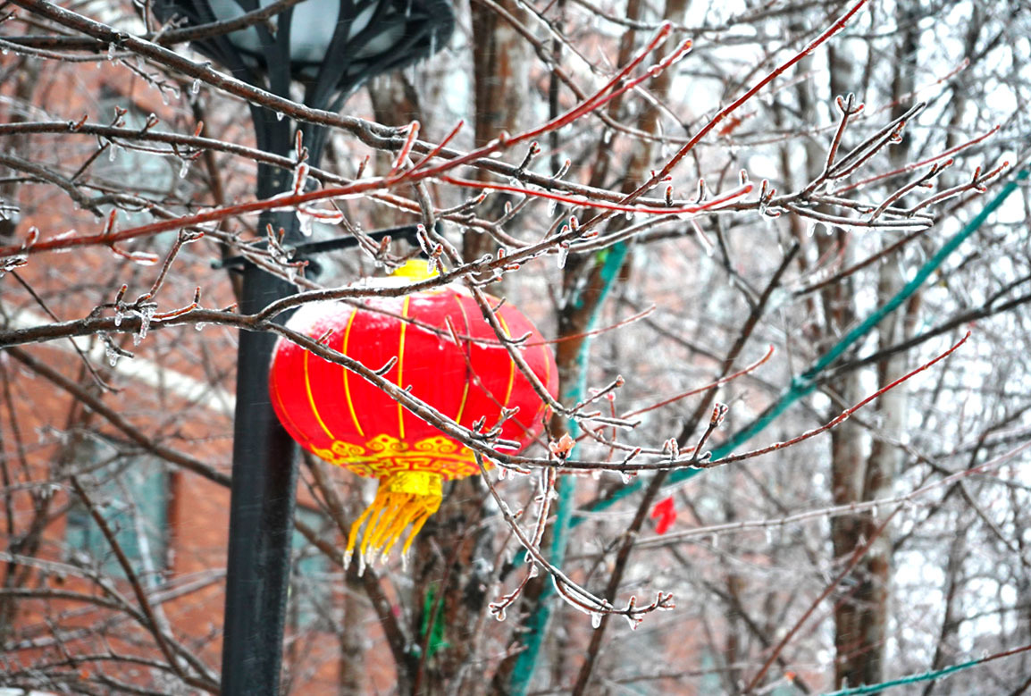 吉科初雪