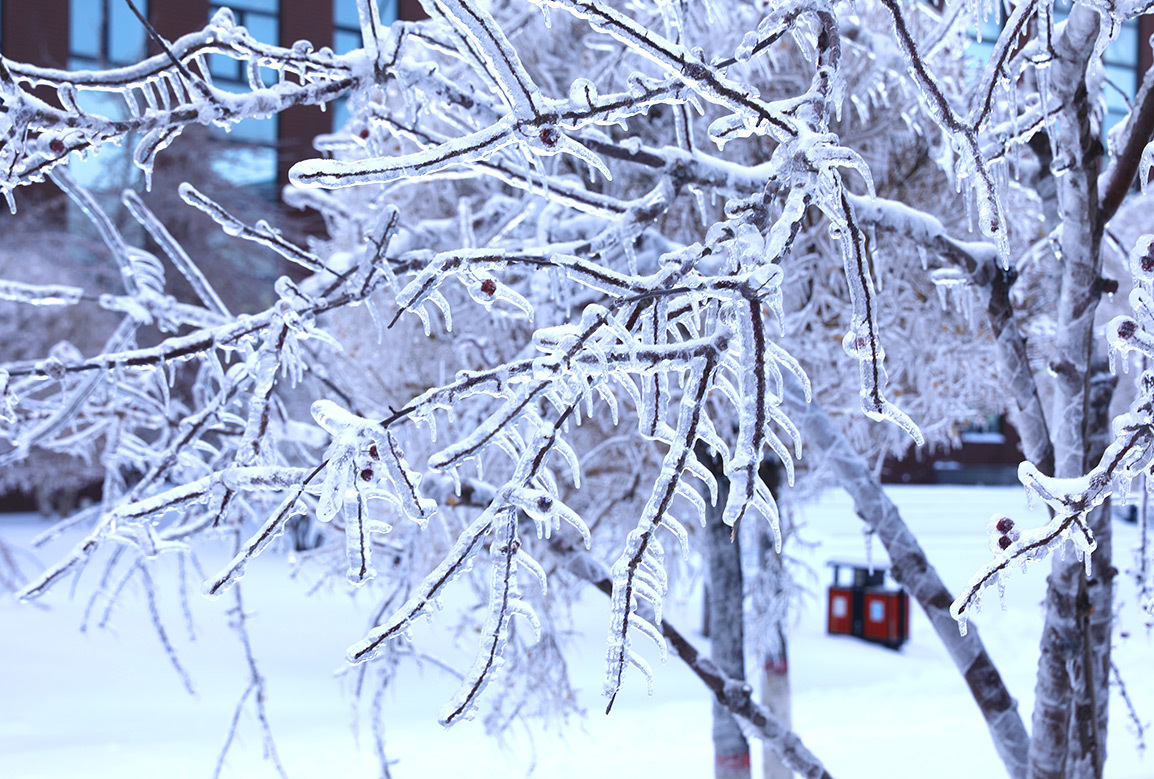 吉科初雪