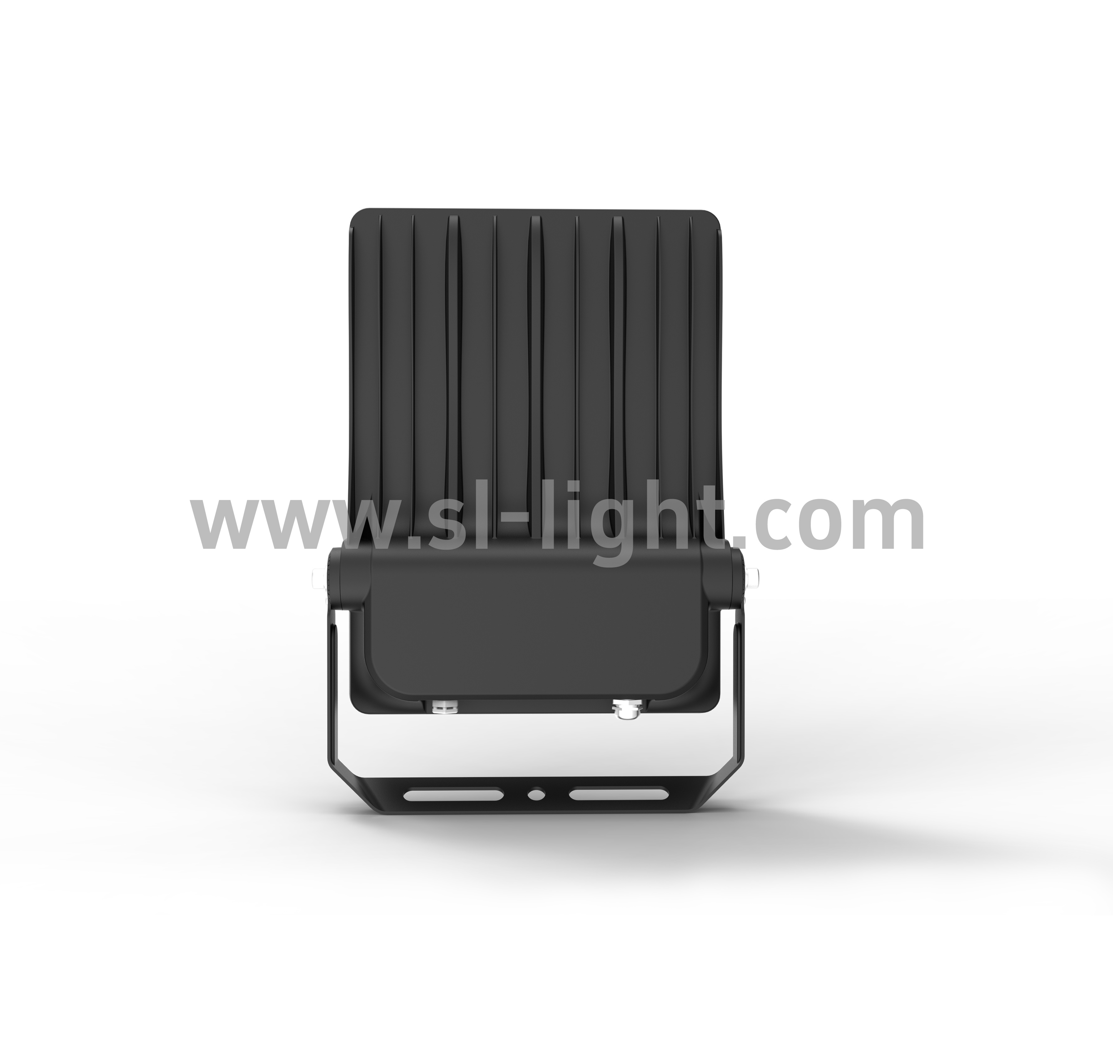 RZ-80W-100W-04.jpg