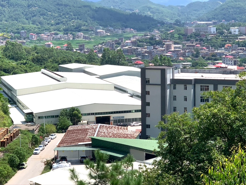 公司全貌  Panorama of the company  (4).webp