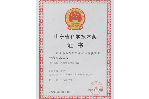 大型电渣重熔钢锭