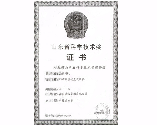 25MN数控校直液压机