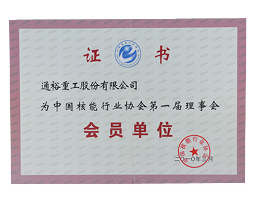 Member of the First Council of China Nuclear Energy Industry Association